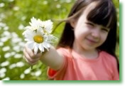 Girl showing gratitude offering daisies in a spring field - Harmonic Thought - www.YourAttitudeWillMakeYou.com